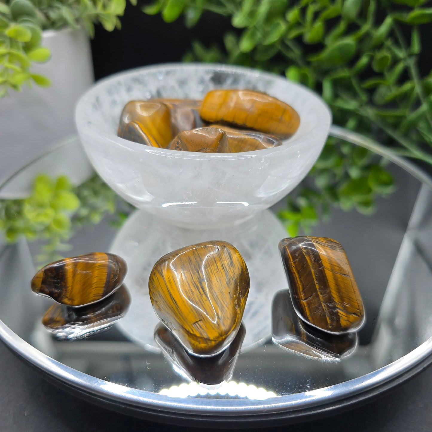 Tigers eye tumble