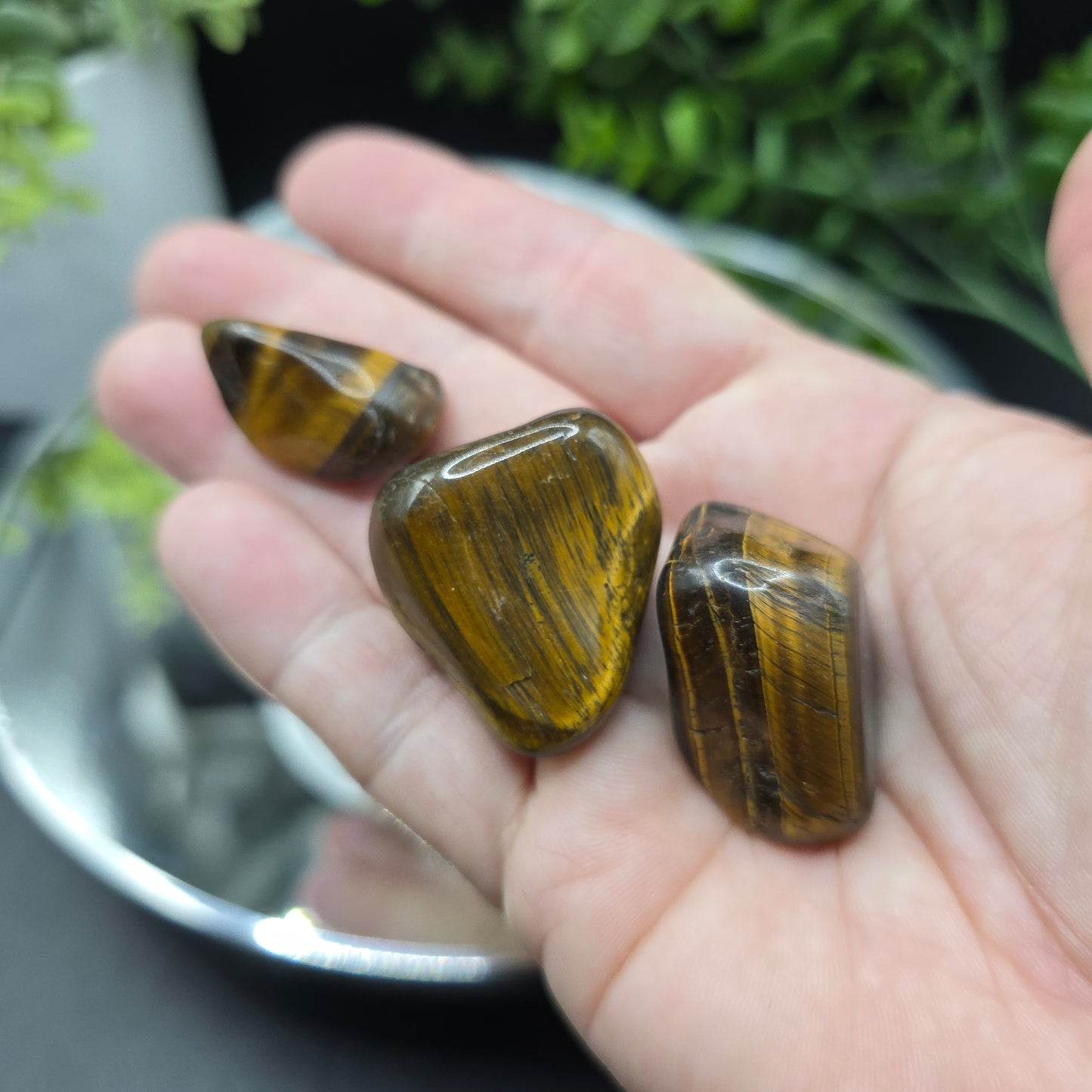 Tigers eye tumble