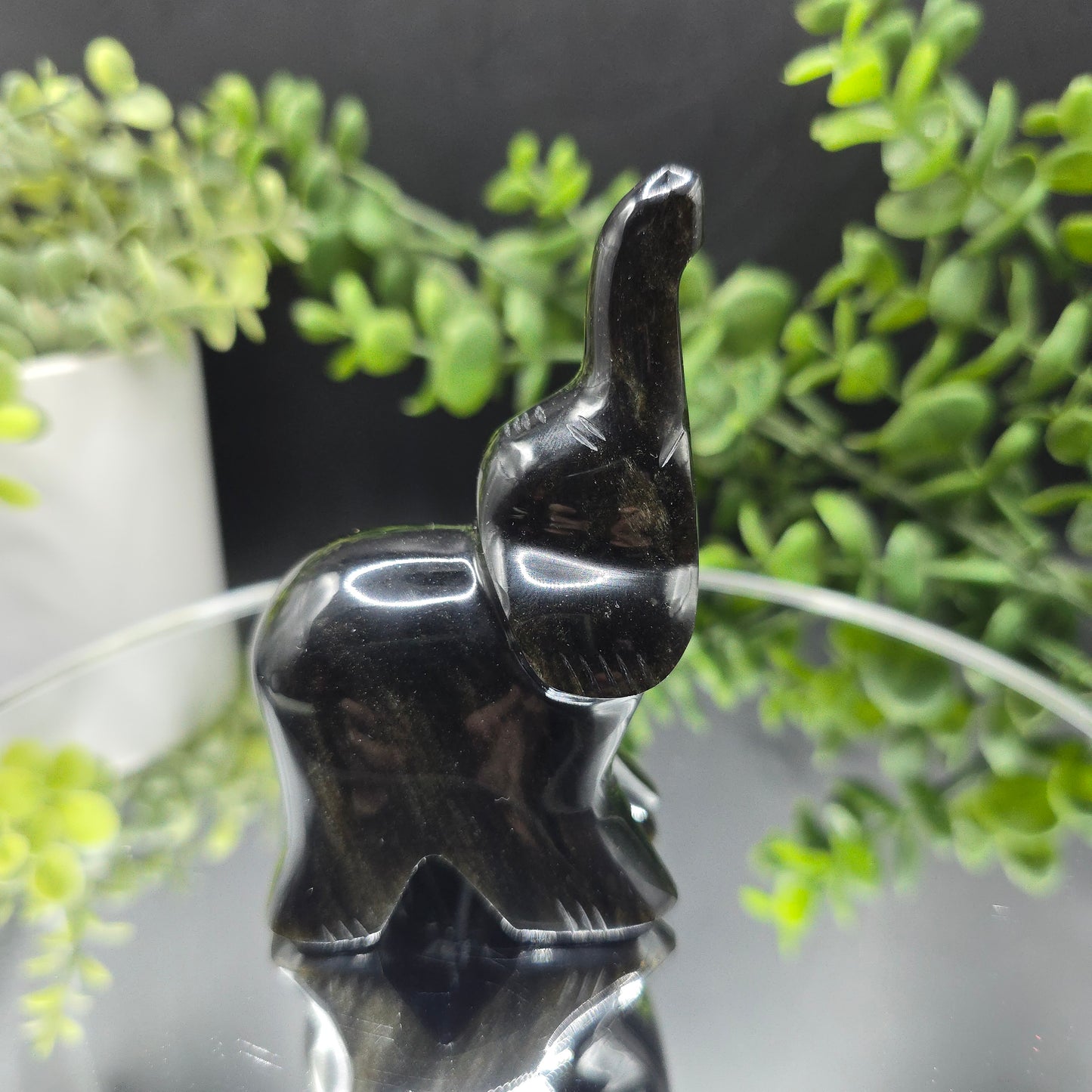 Obsidian Elephant Mexico