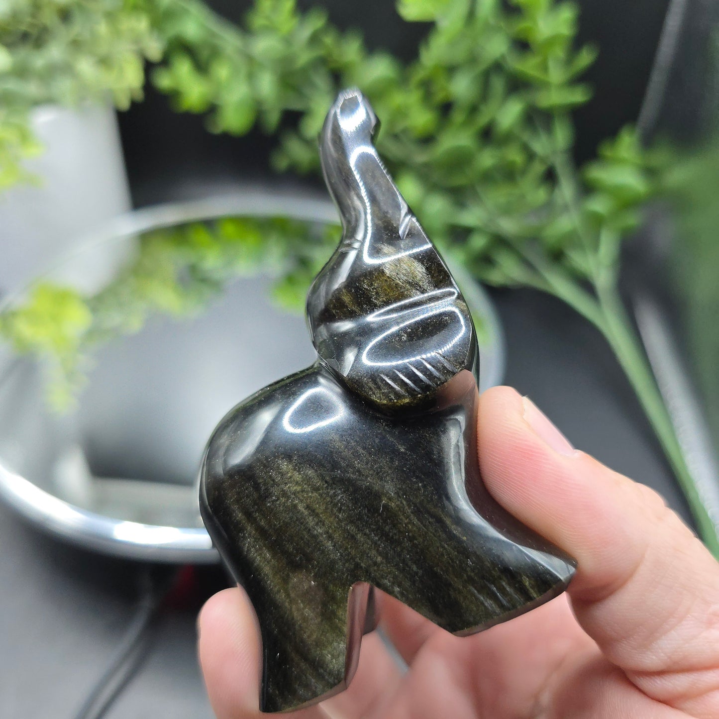 Obsidian Elephant Mexico