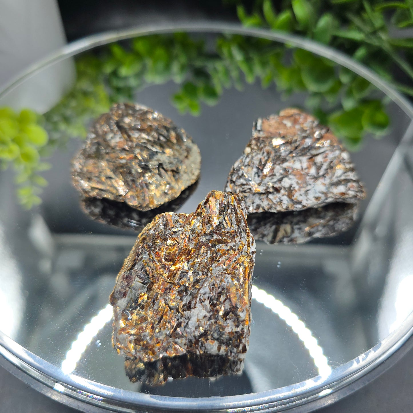 Astrophyllite Russia