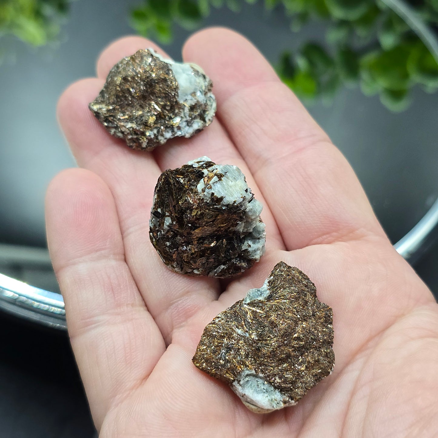 Astrophyllite Russia
