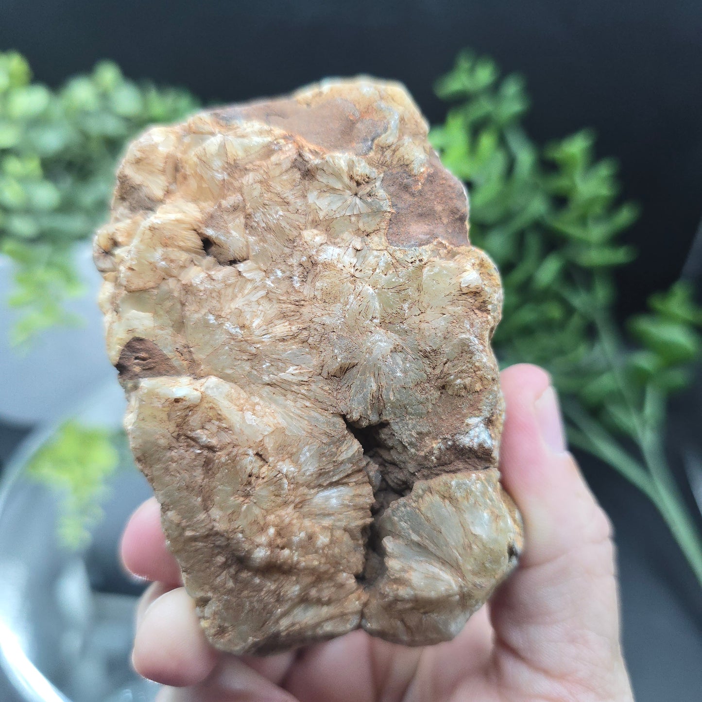 Prehnite Australia
