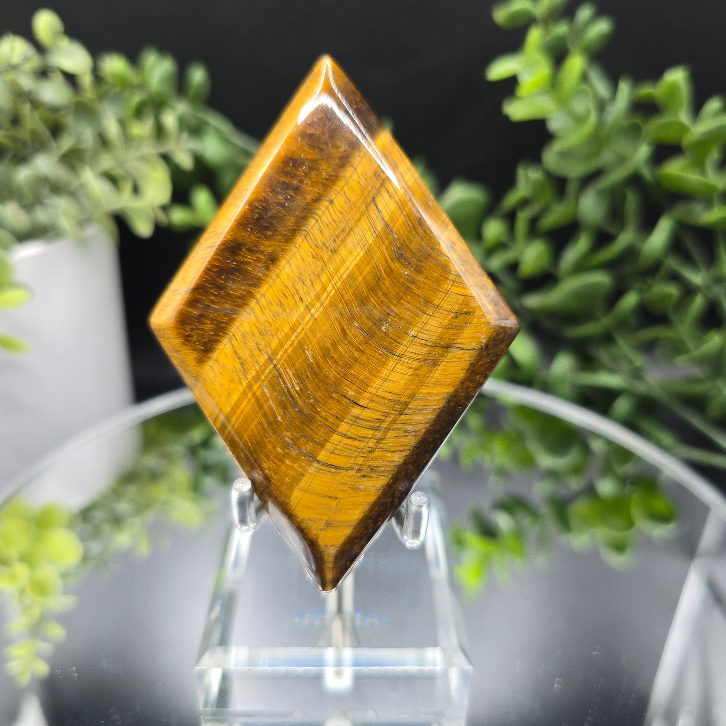 Tigers eye Diamond