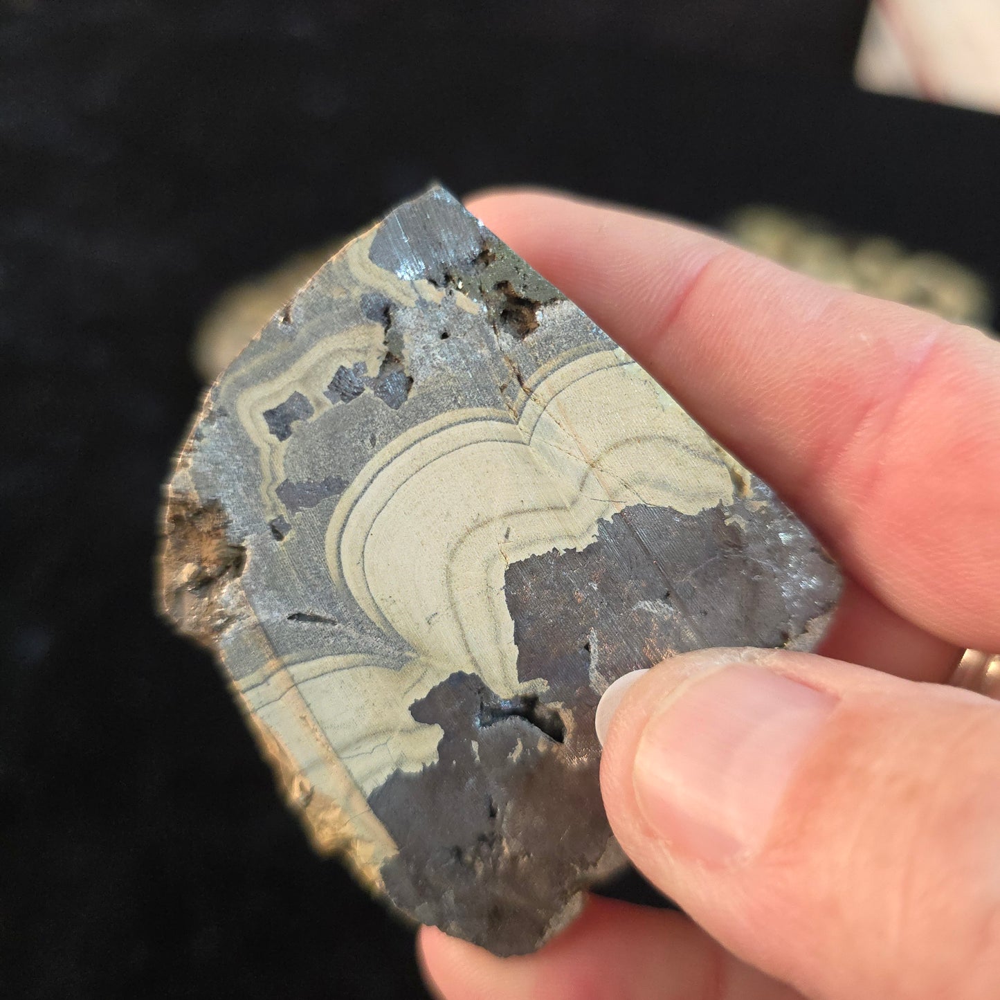 Schalenblende Poland