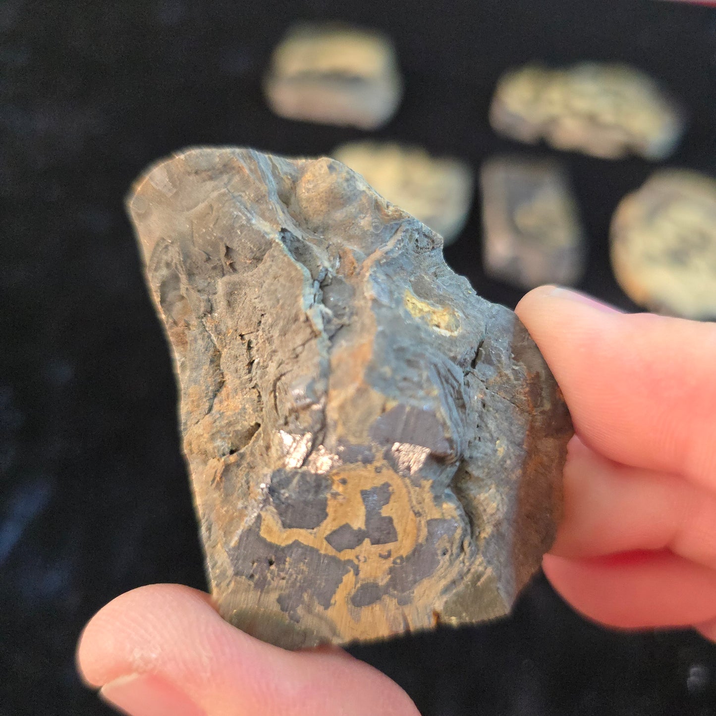 Schalenblende Poland