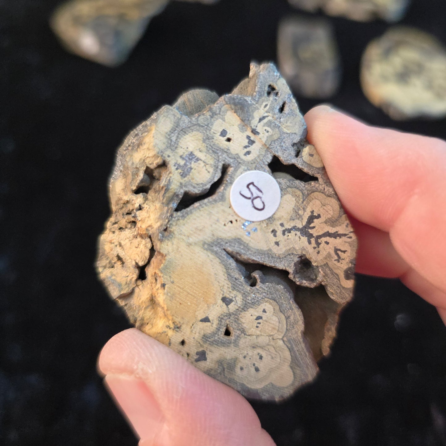 Schalenblende Poland