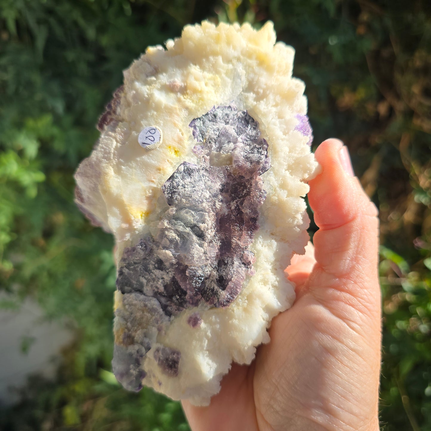 Magenta Fluorite on Quartz Mexico