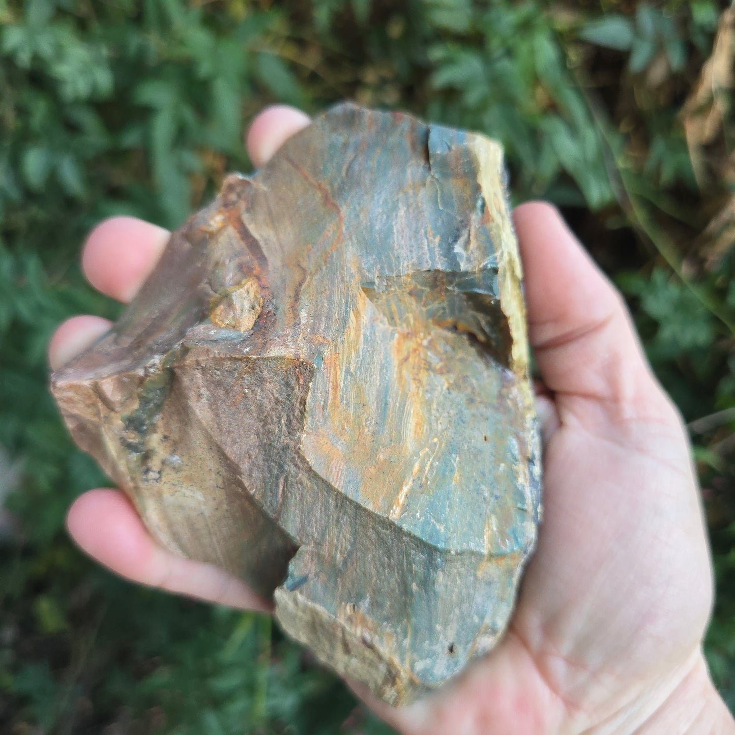 Gary Green Jasper petrified wood