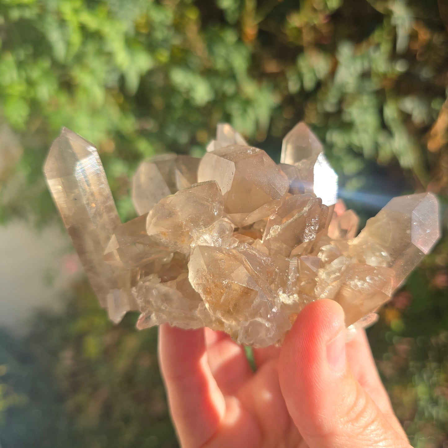 Natural smoky quartz South Africa