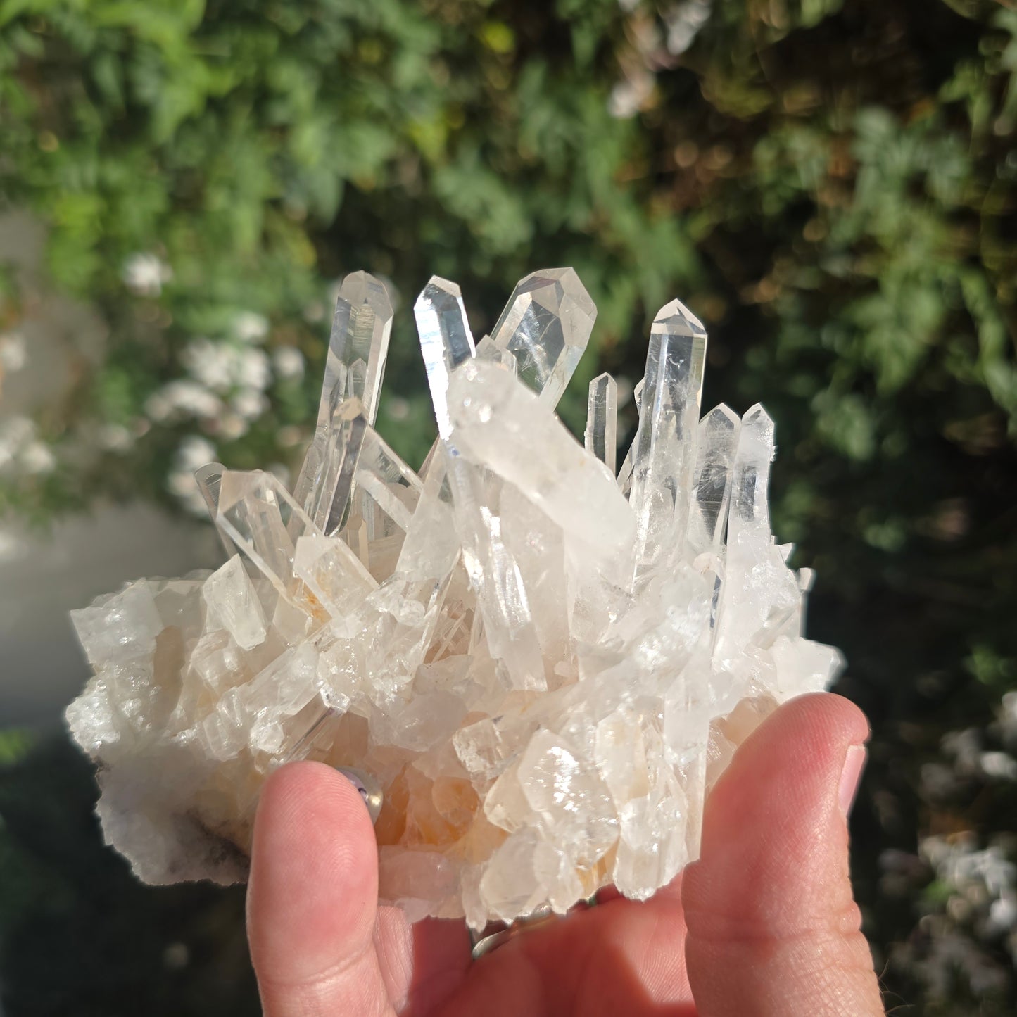 Colombian Lemurian Quartz