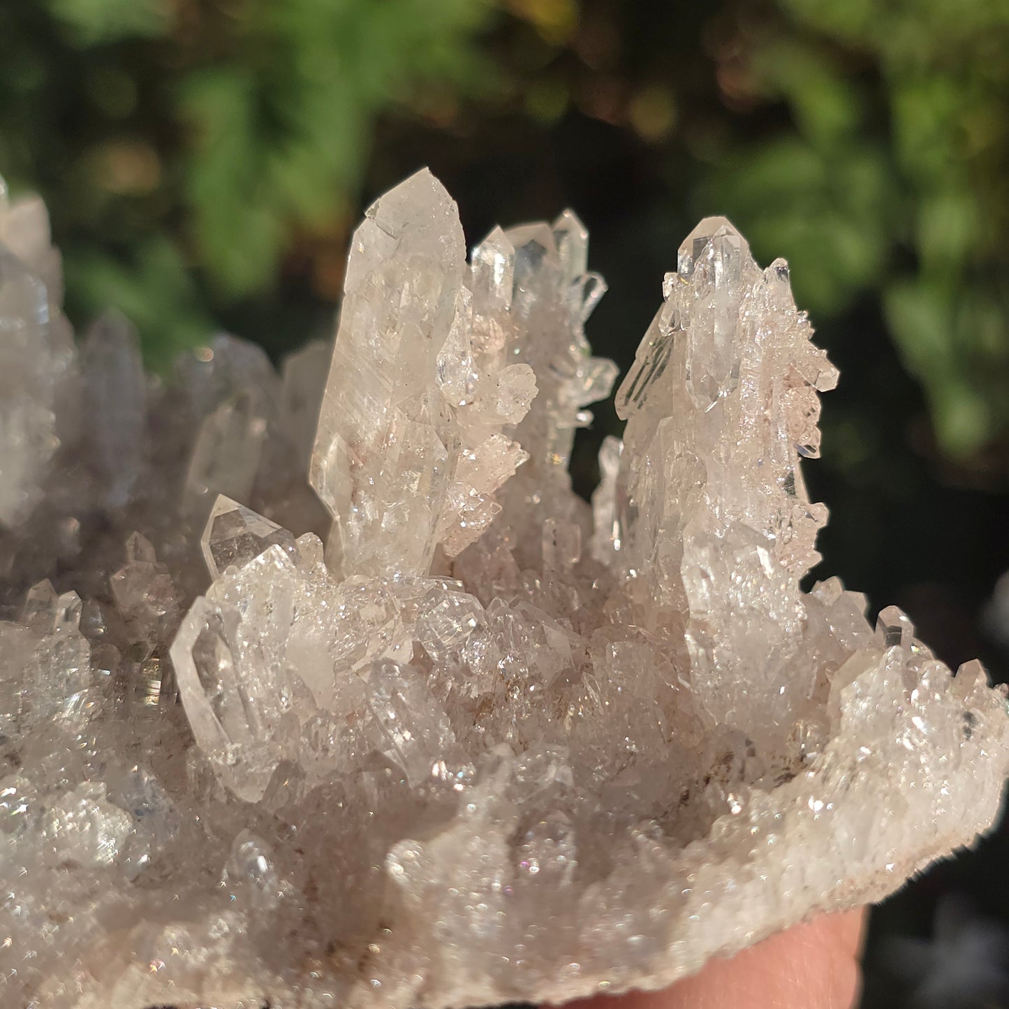 Colombian Pink Lemurian Quartz