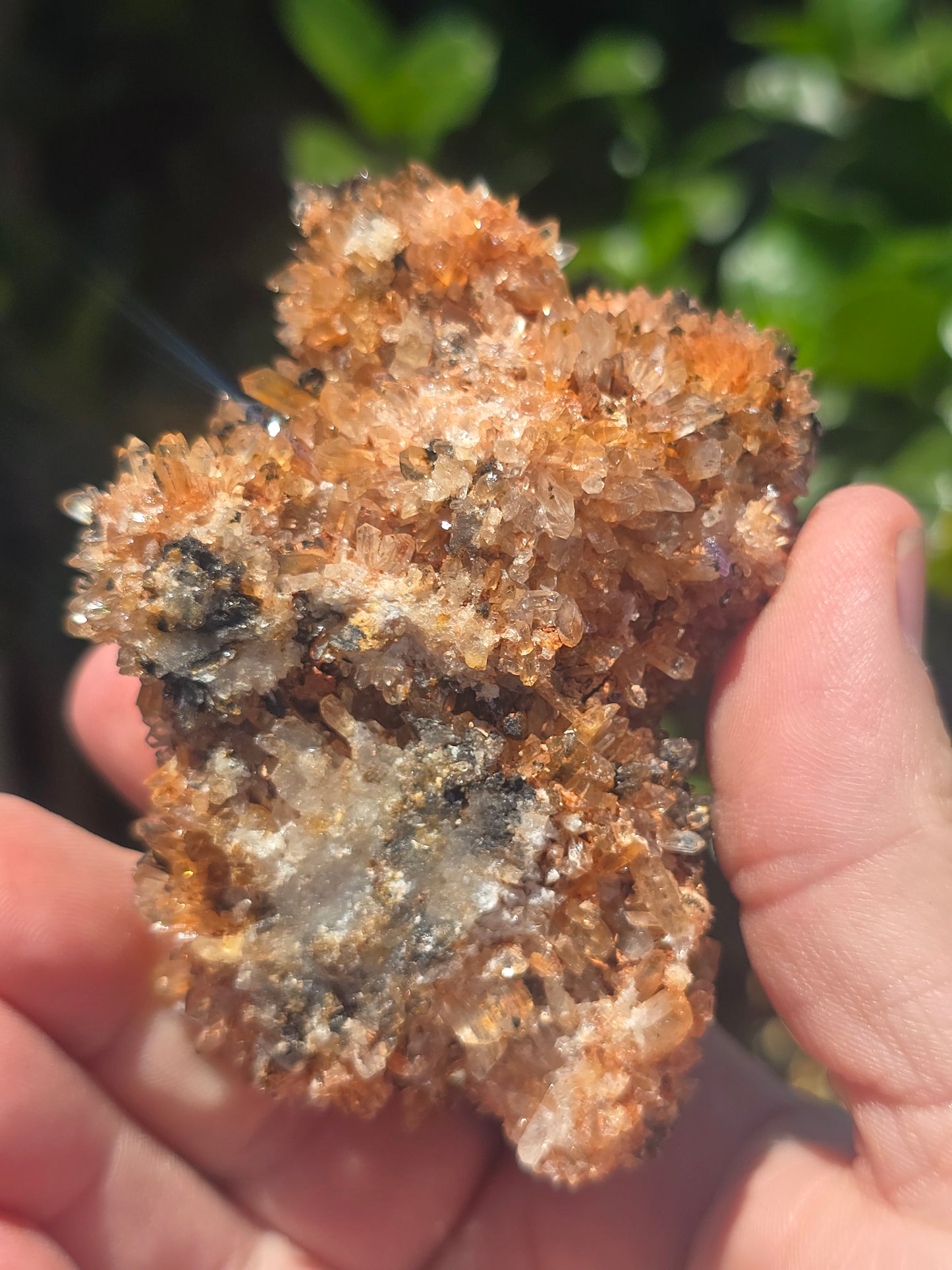 Creedite Durango Mexico
