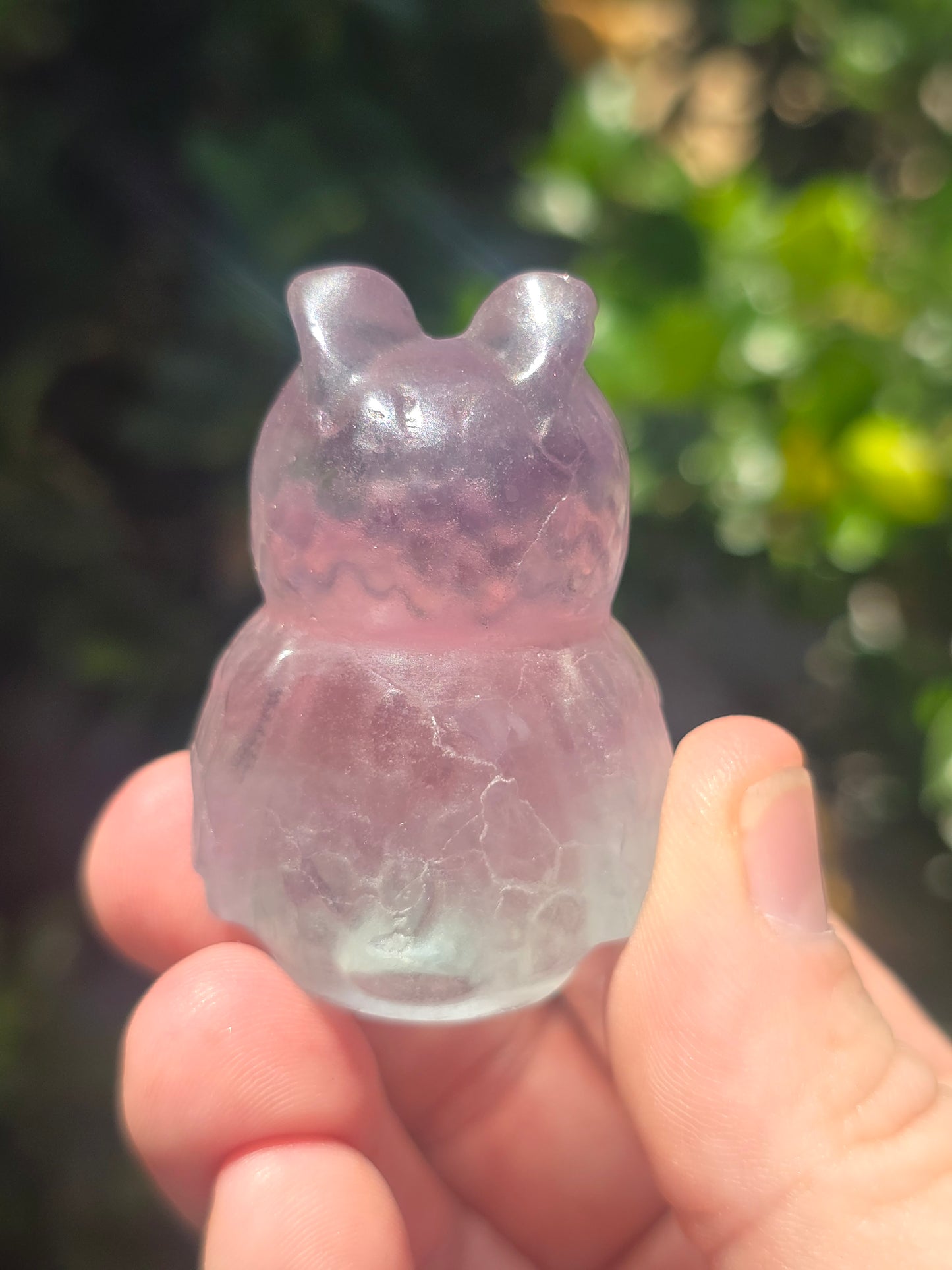 Fluorite Owl