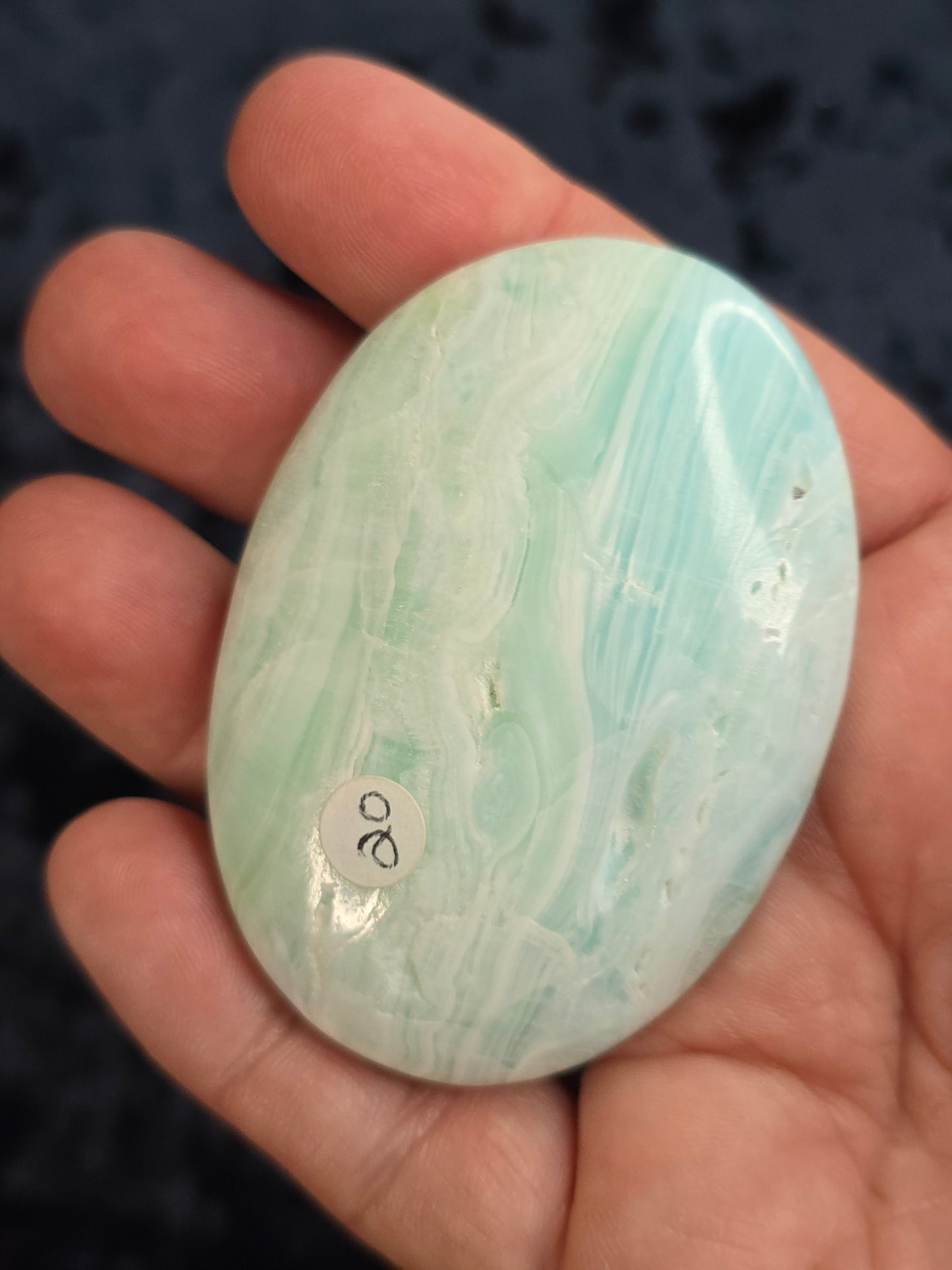 Carribean calcite palm