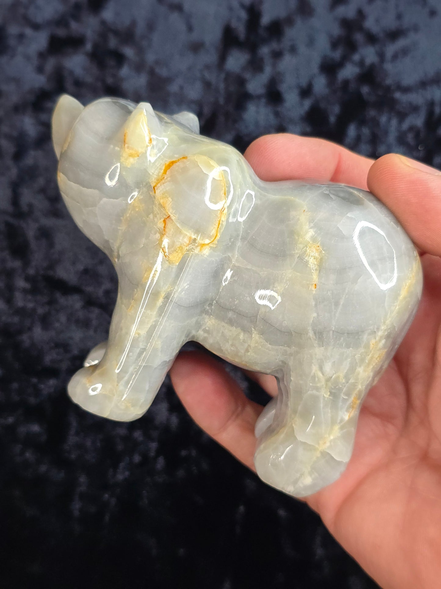 Blue Onyx Bear Pakistan