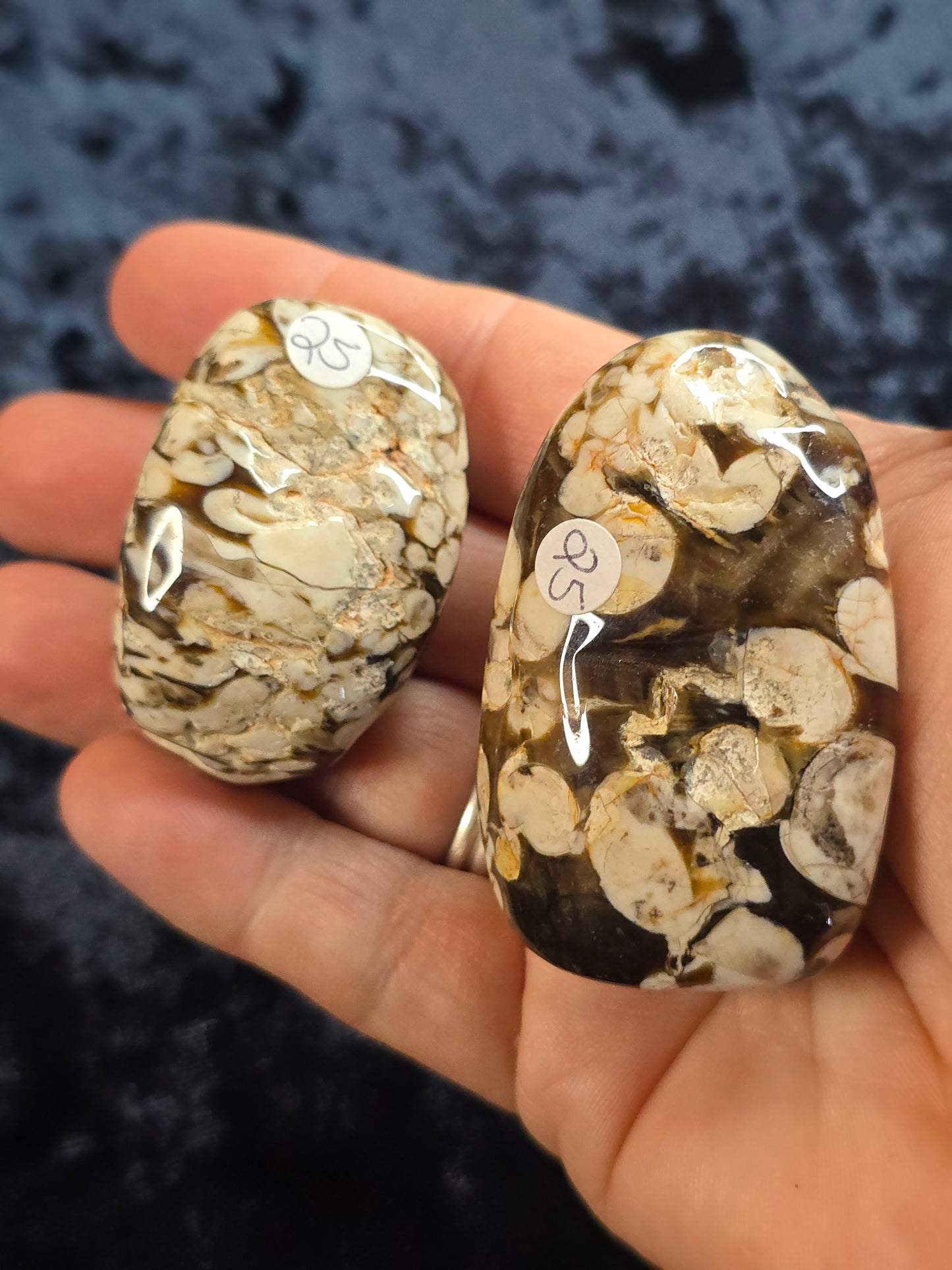 Peanut Wood Australia tumble