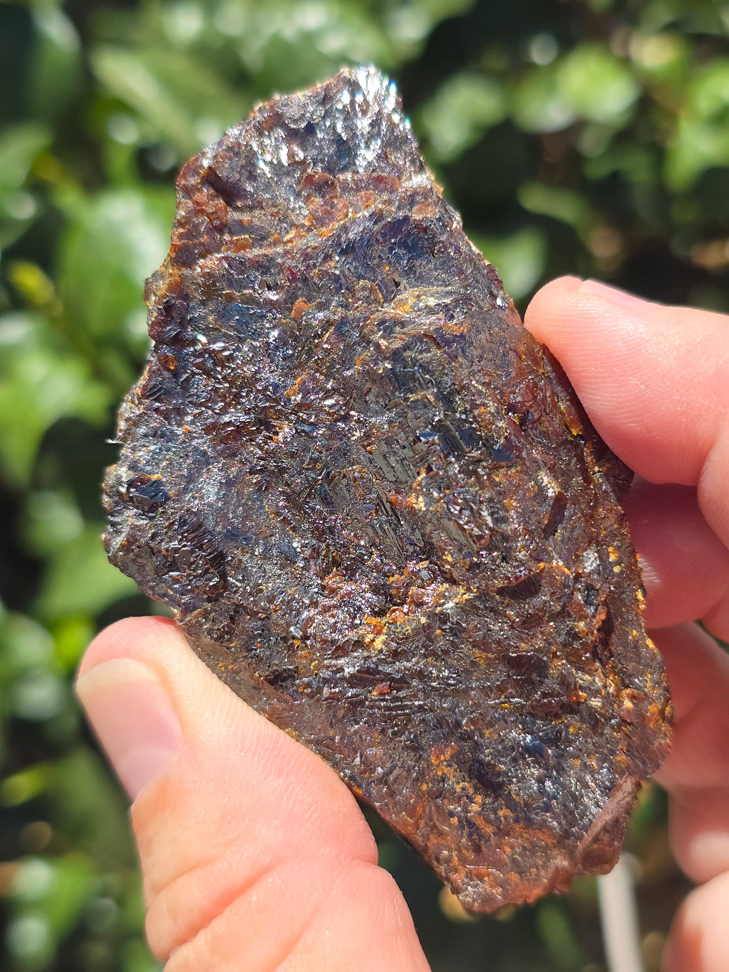Sphalerite w calcite Elmwood Mine Tennessee