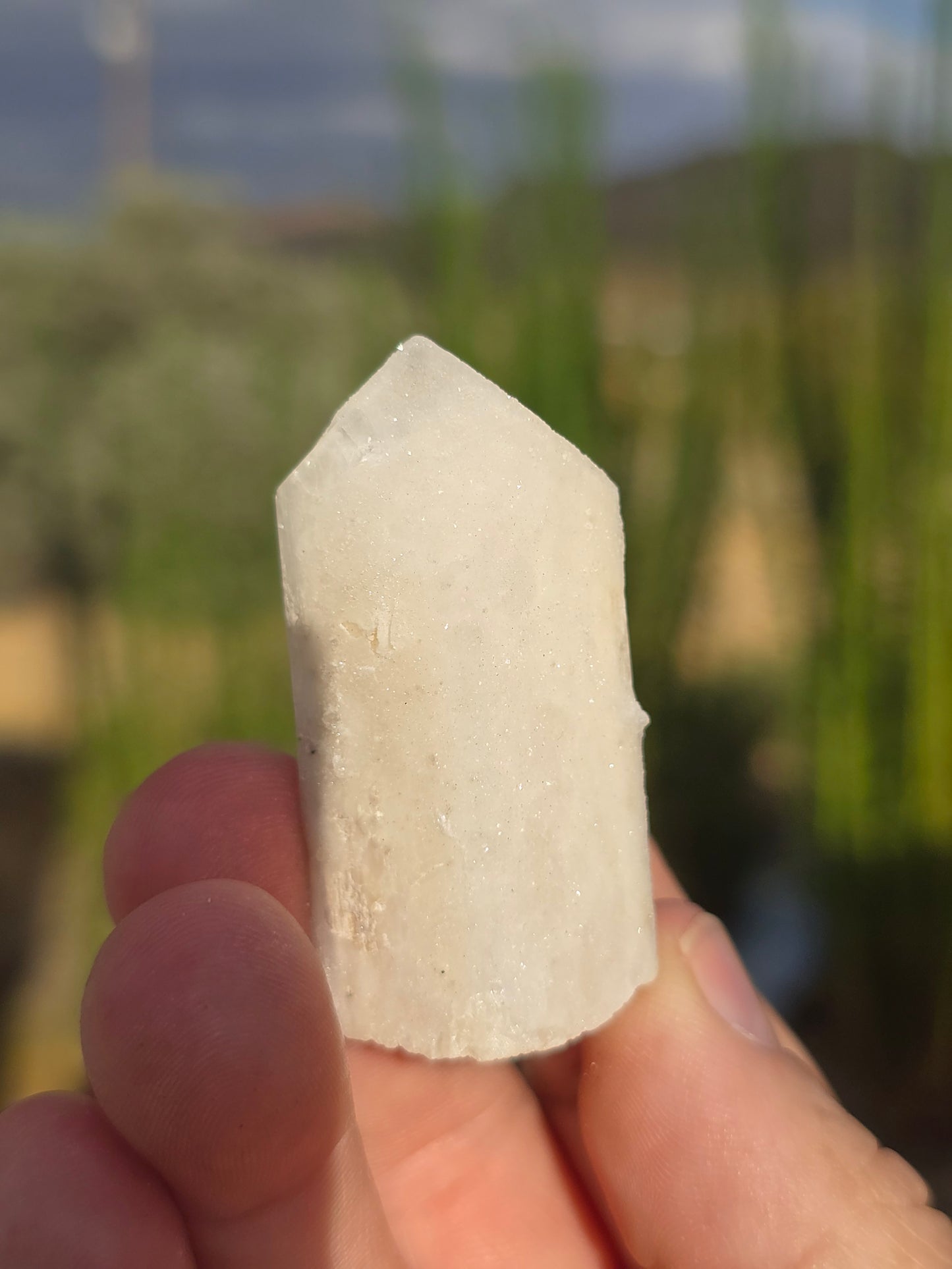Druzy Danburite from Mexico