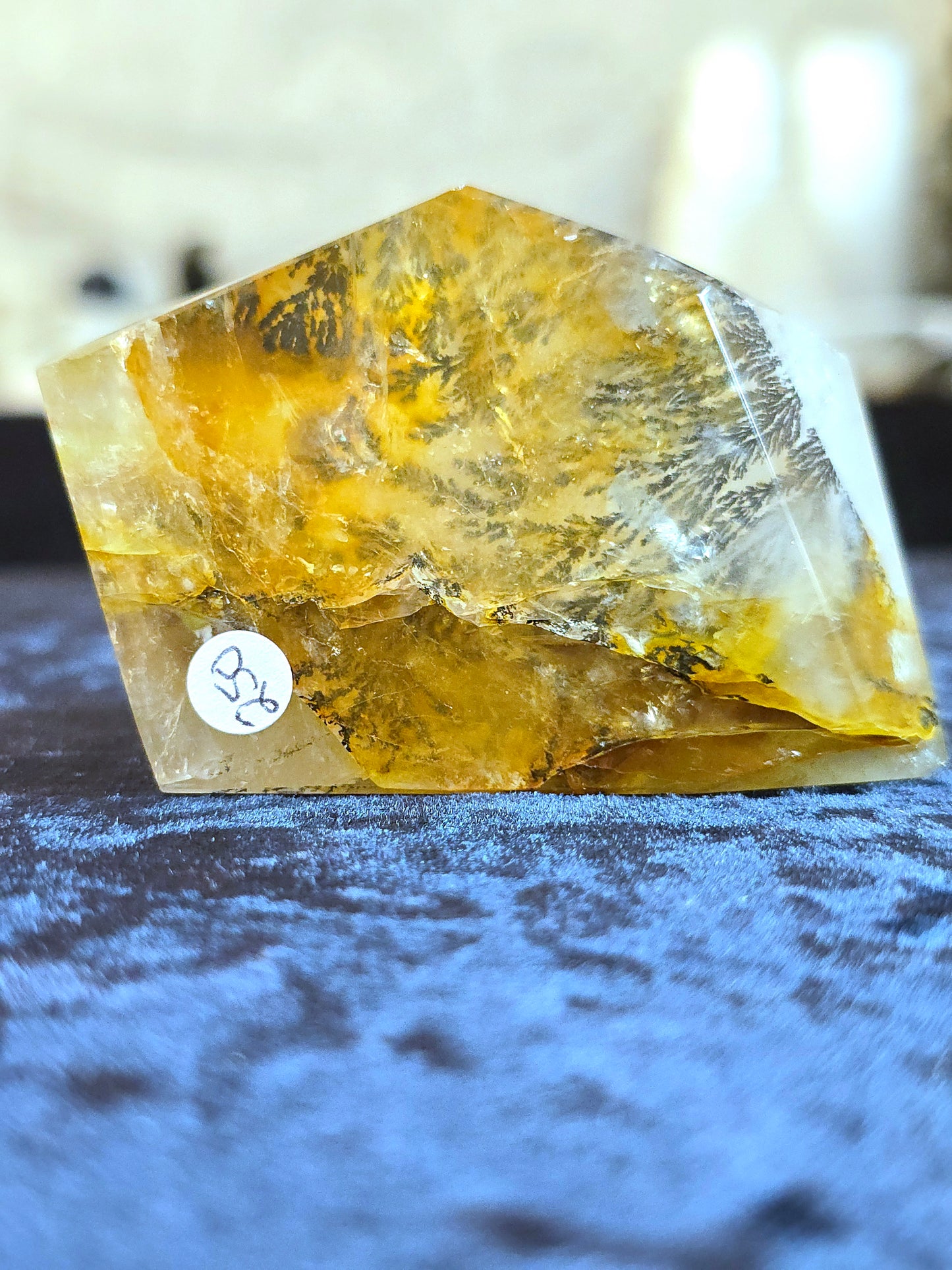 Dendritic Quartz Brazil