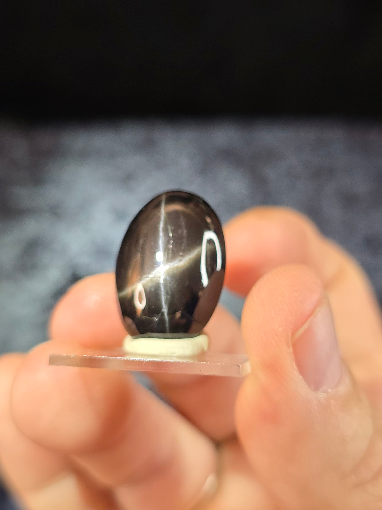 Black Star Diopside cabochon