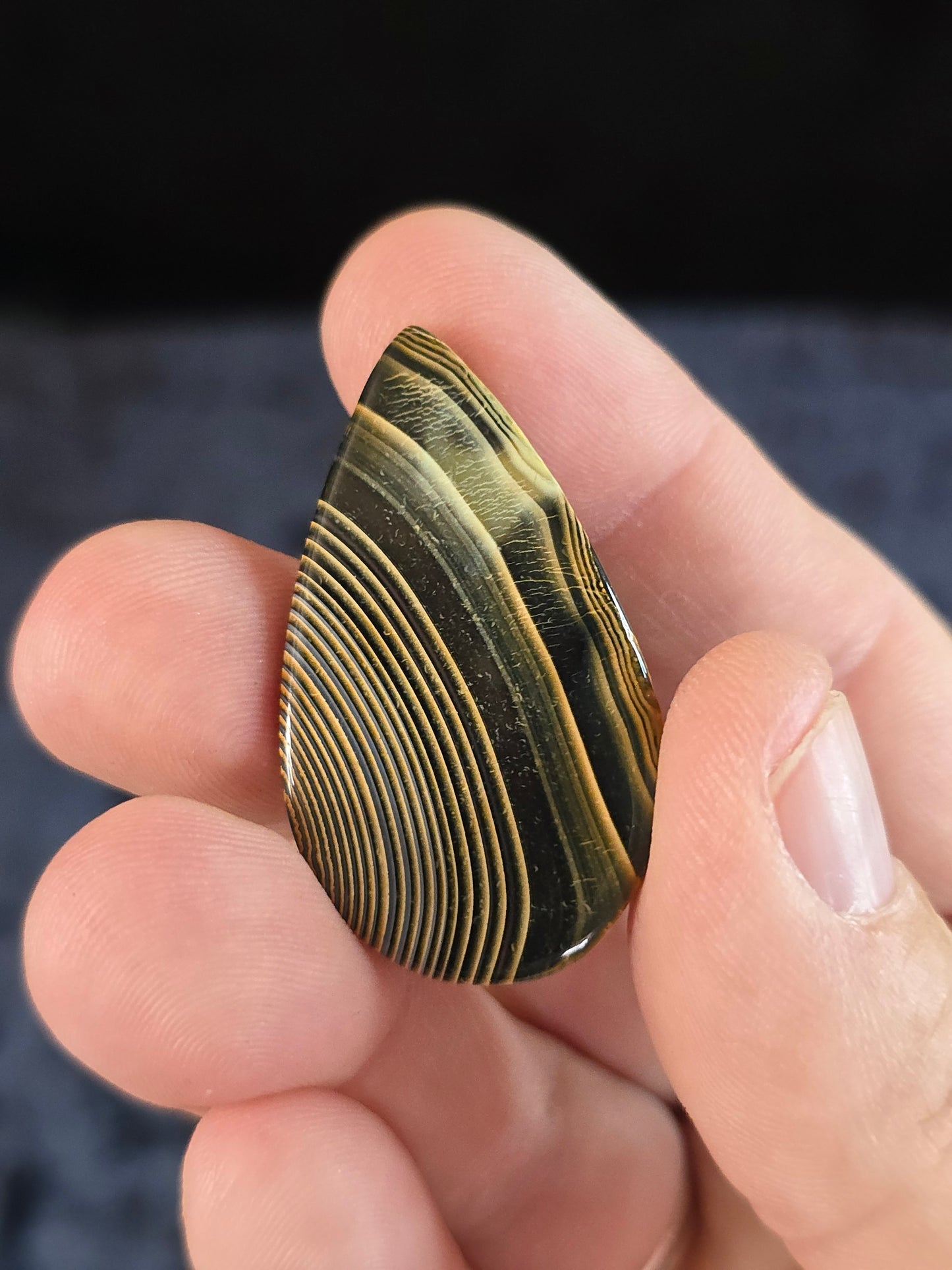 Bumblebee agate cabochon