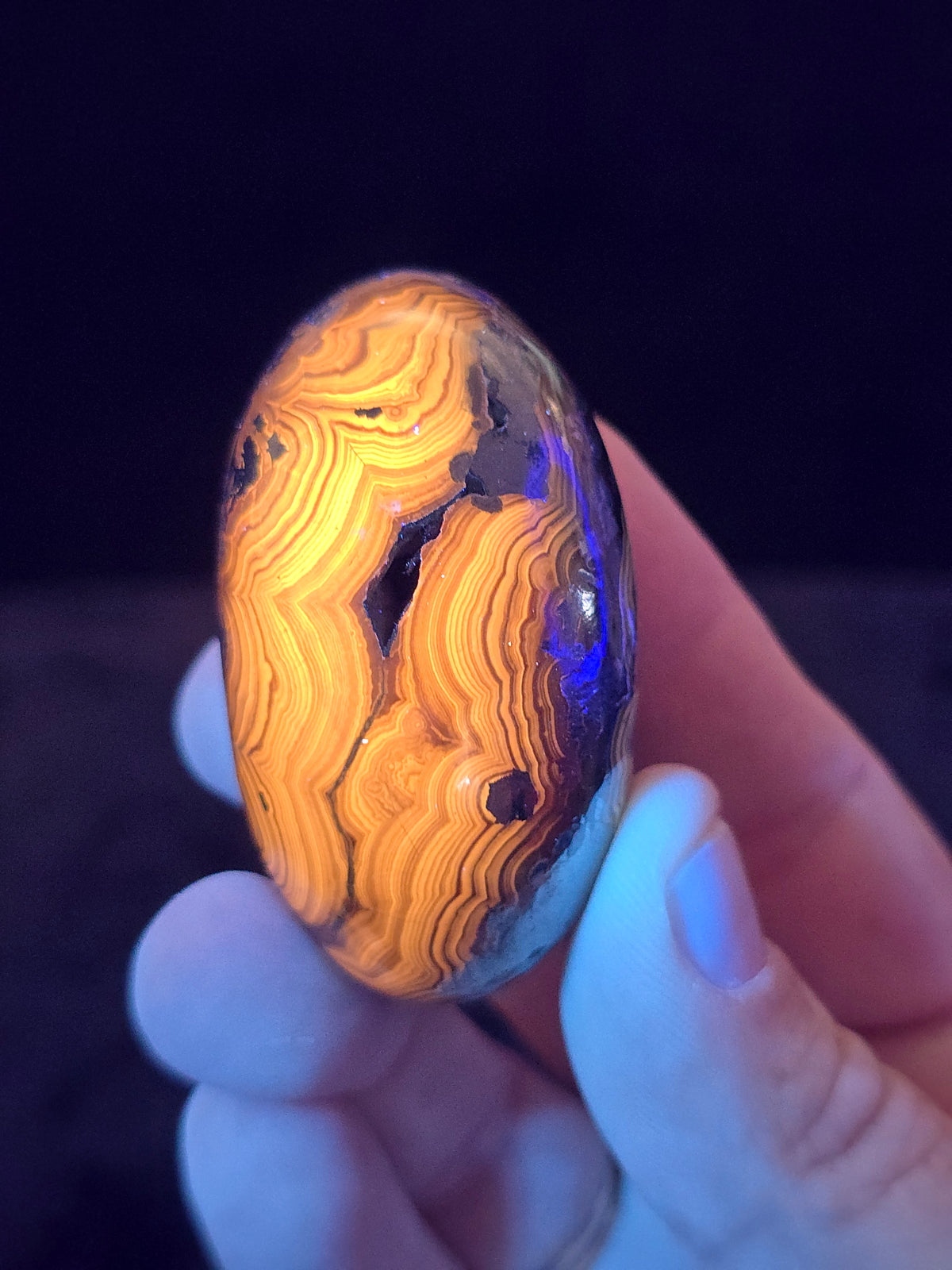 Schalenblende Poland