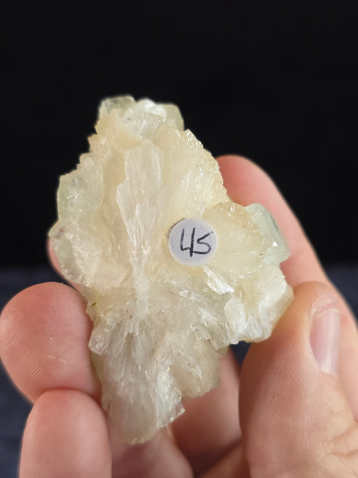 Green Apophyllite w Stilbite India