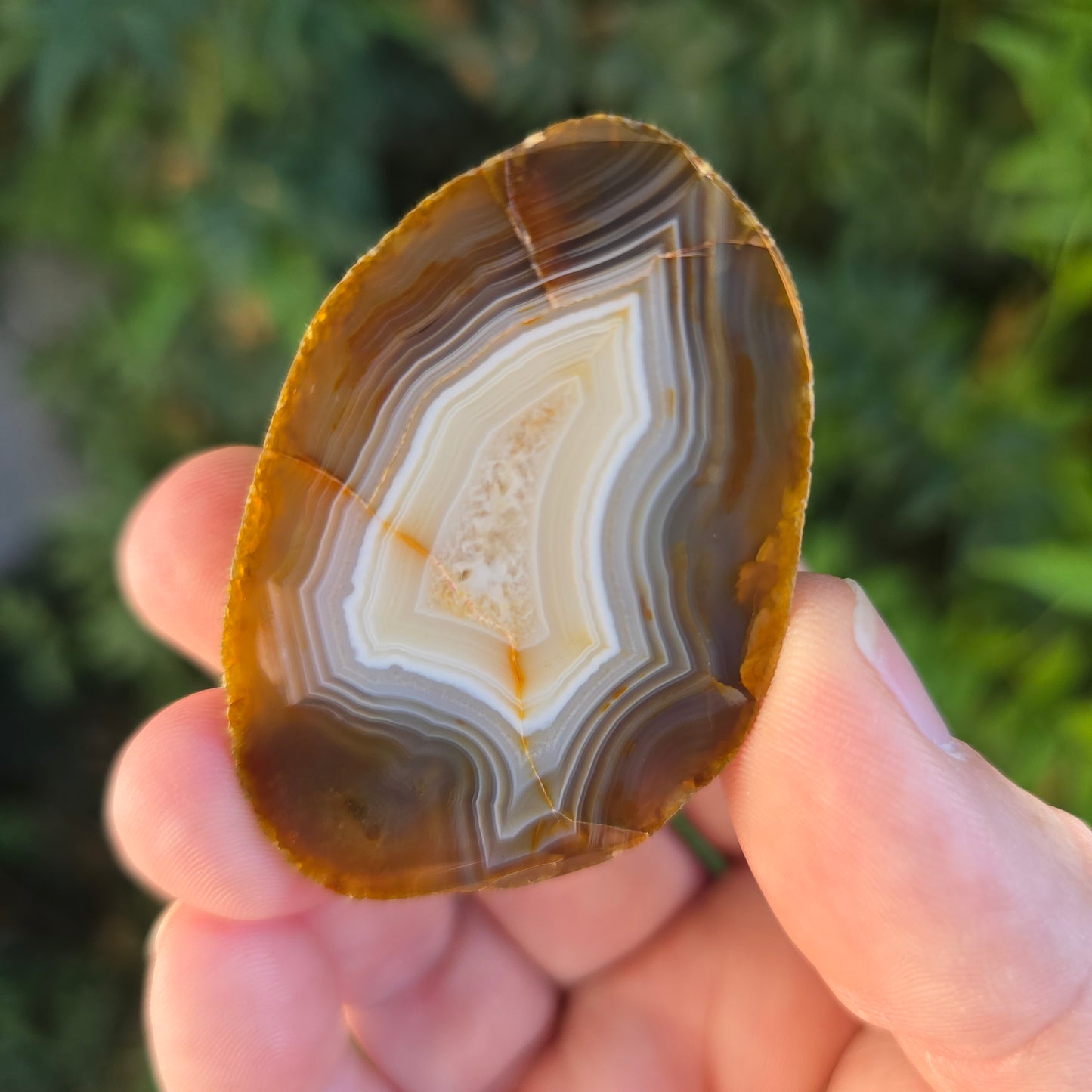 Black River Agate Argentina