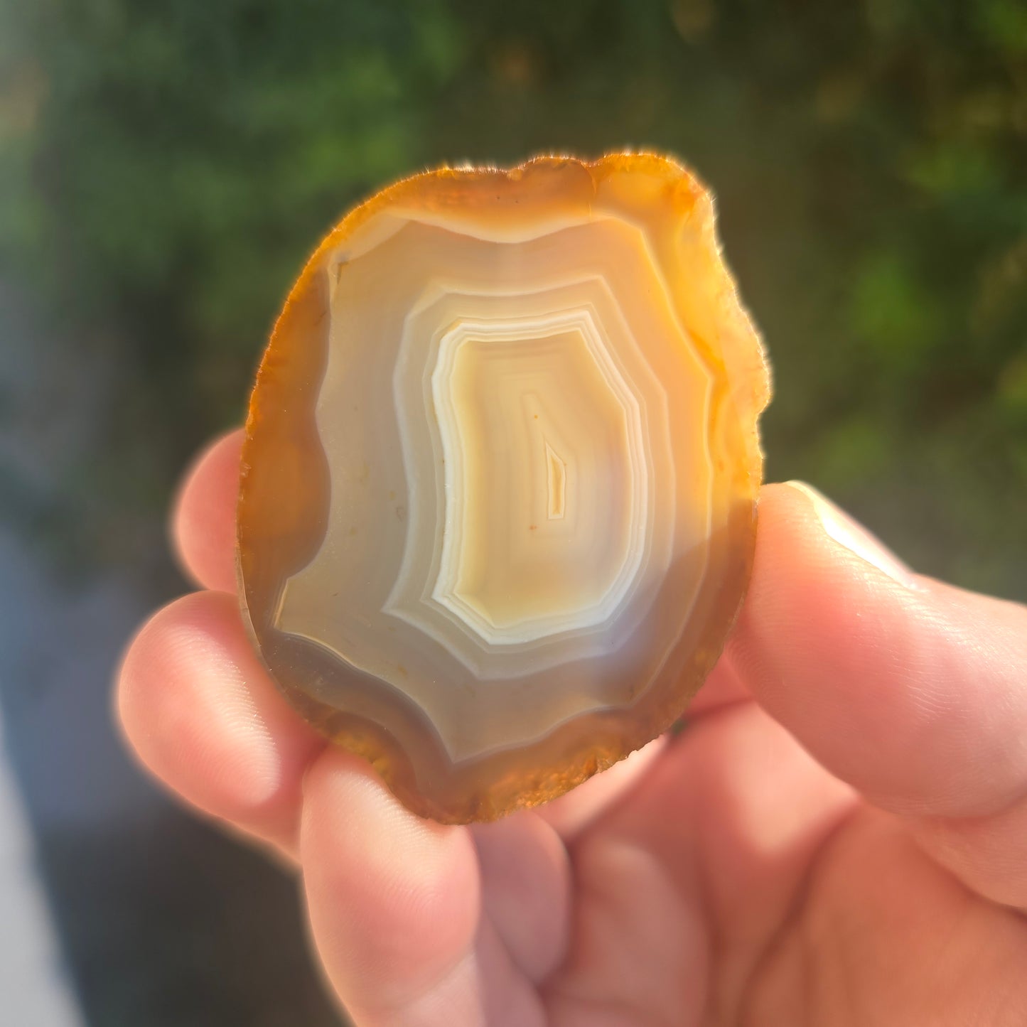 Black River Agate Argentina