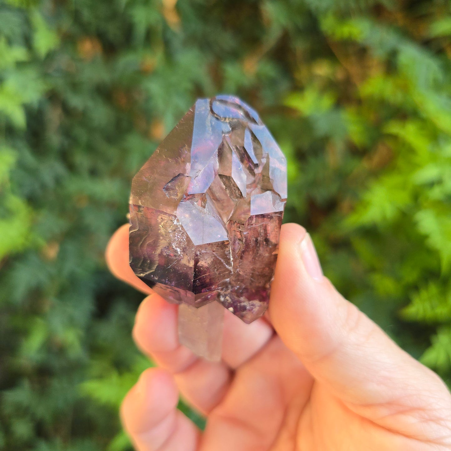 Shangaan Amethyst