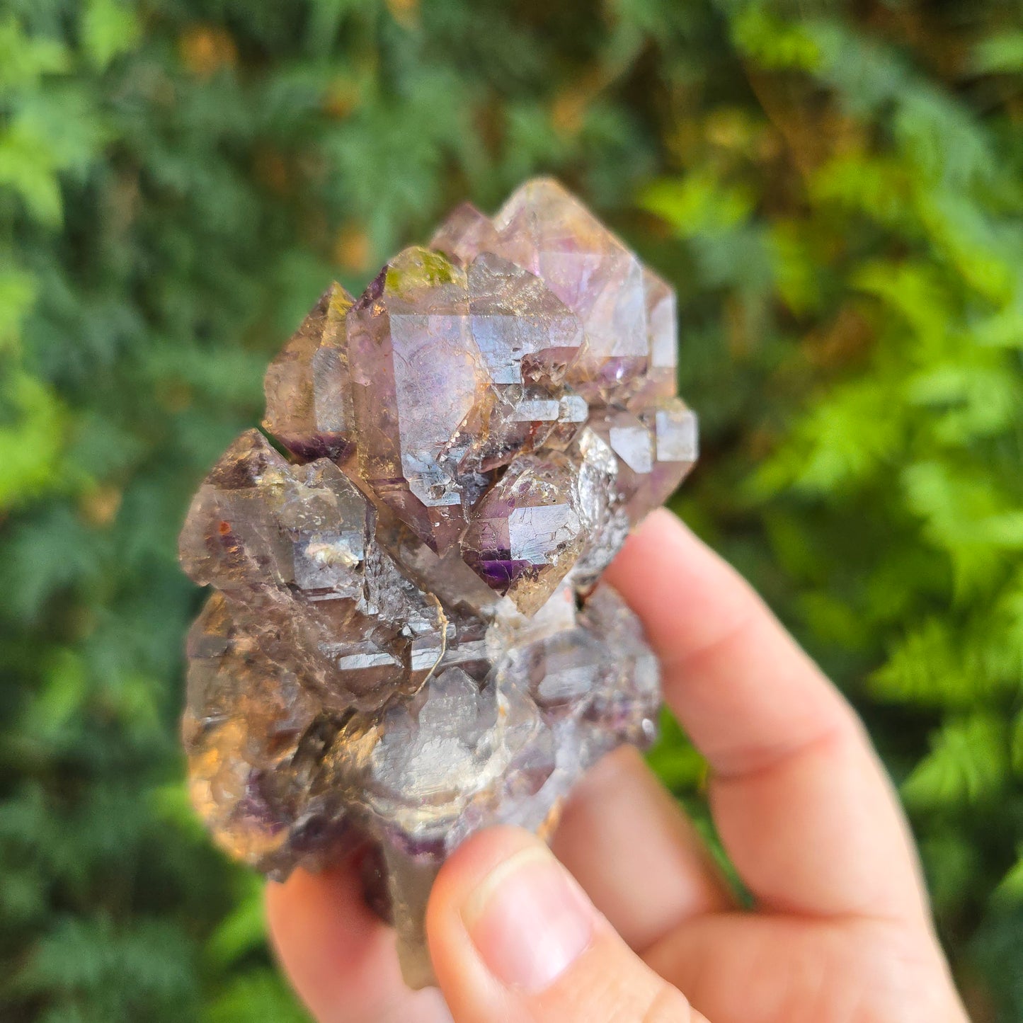 Shangaan Amethyst