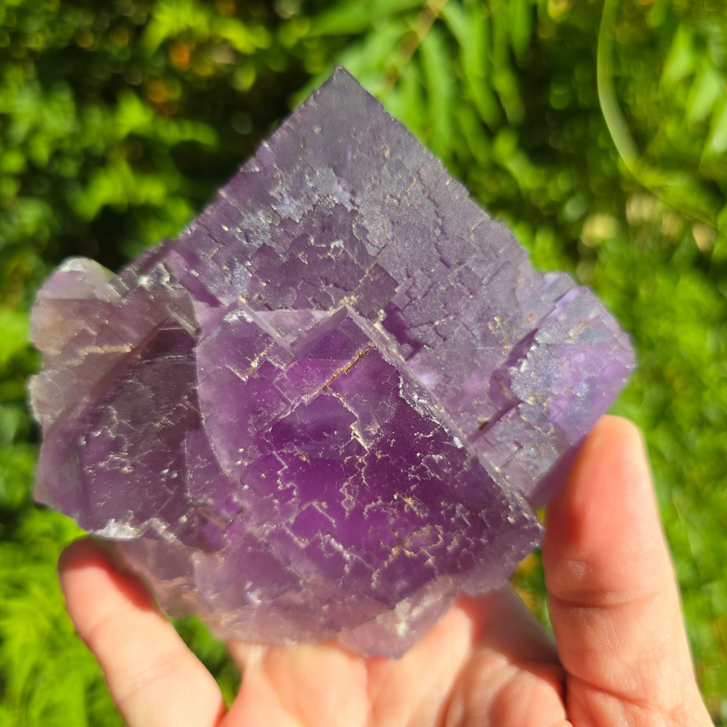 Fluorite from Cave in Rock Illinois
