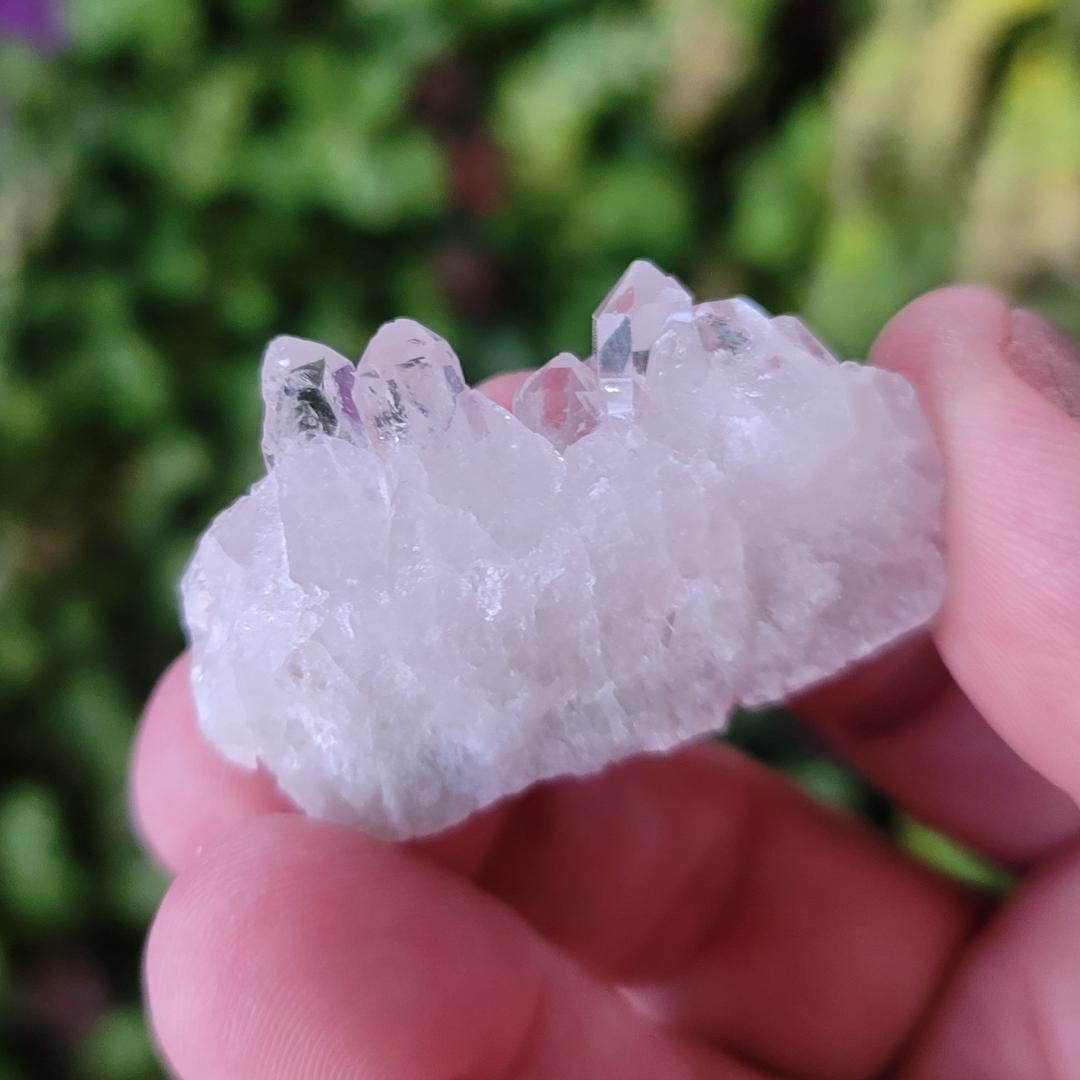 Clear Quartz Cluster