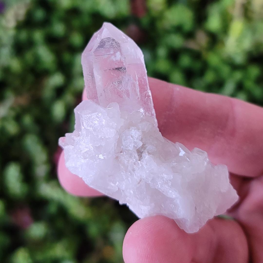 Clear Quartz Cluster