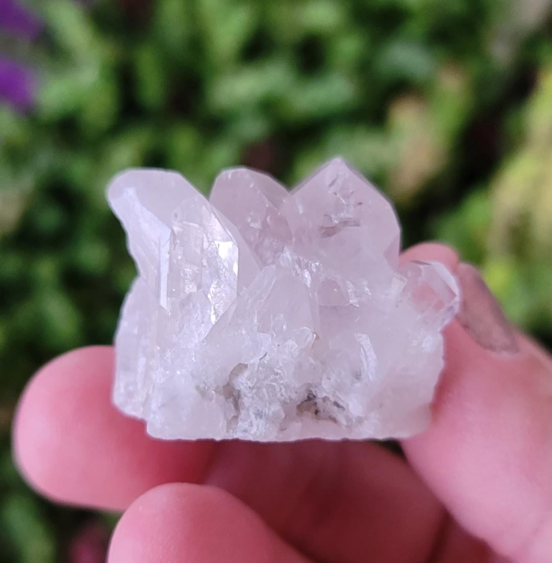Clear Quartz Cluster