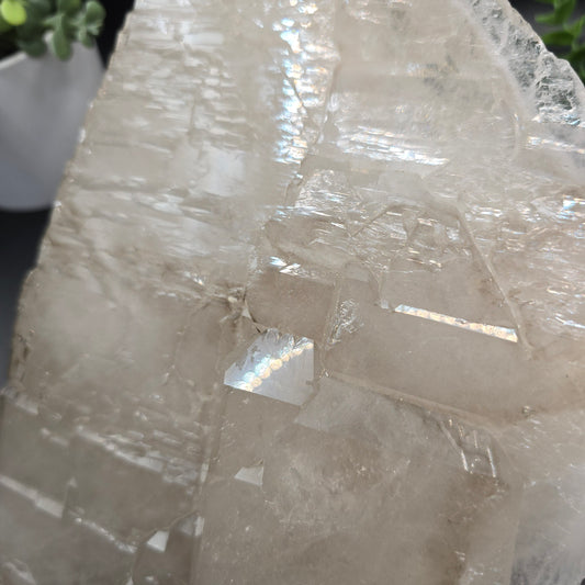 Elestial Smoky Quartz Brazil