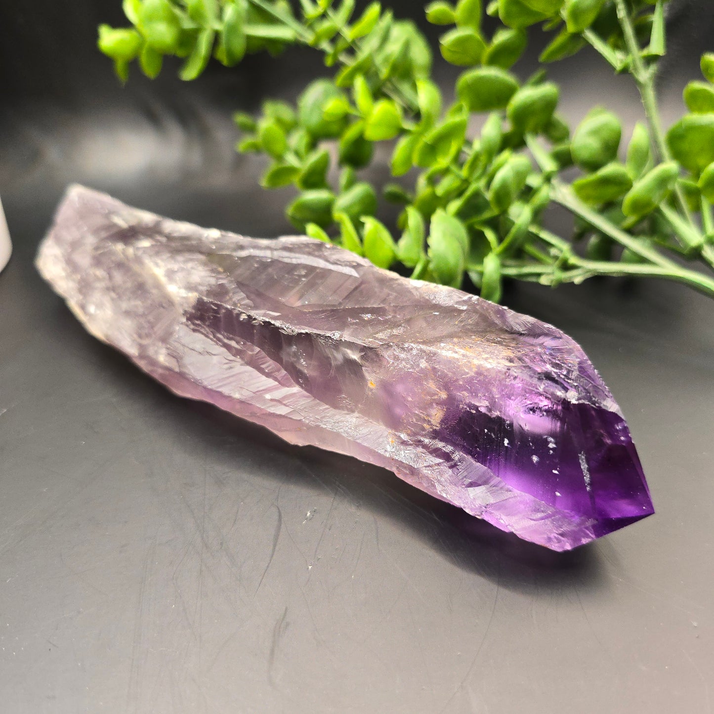 Amethyst Root from Brazil