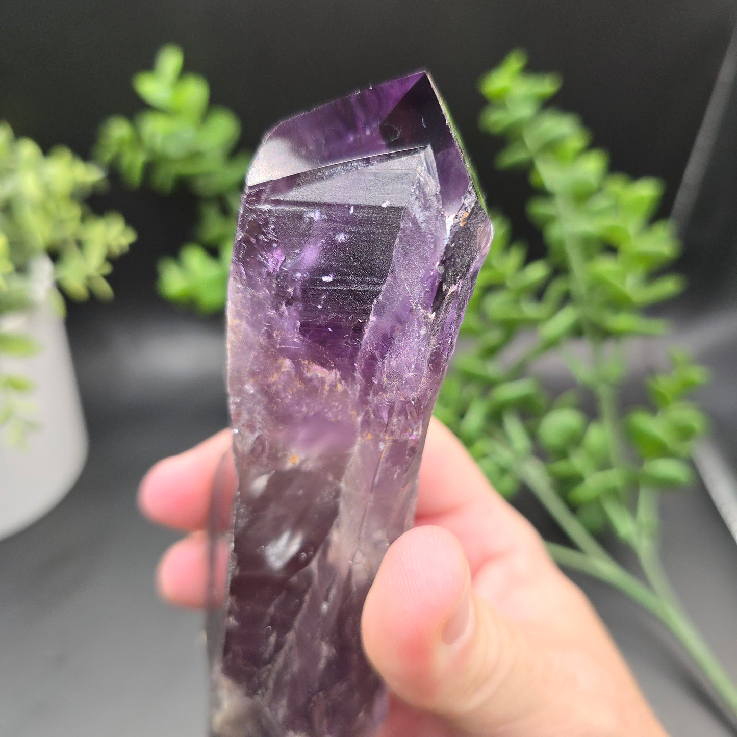 Amethyst Root from Brazil