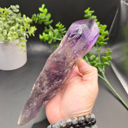 Amethyst Root from Brazil
