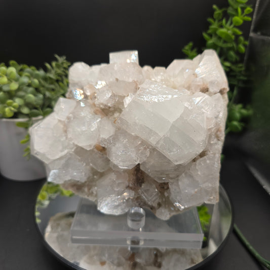 Apophyllite India