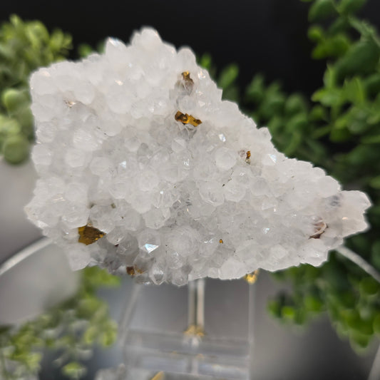 Chalcopyrite w quartz from China