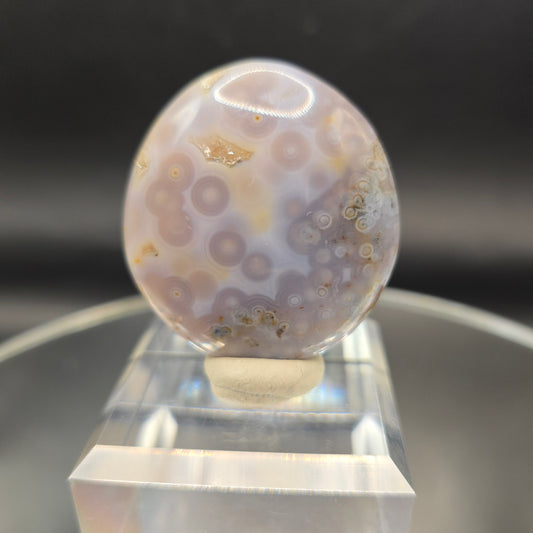 Ocean jasper vein one palm Madagascar