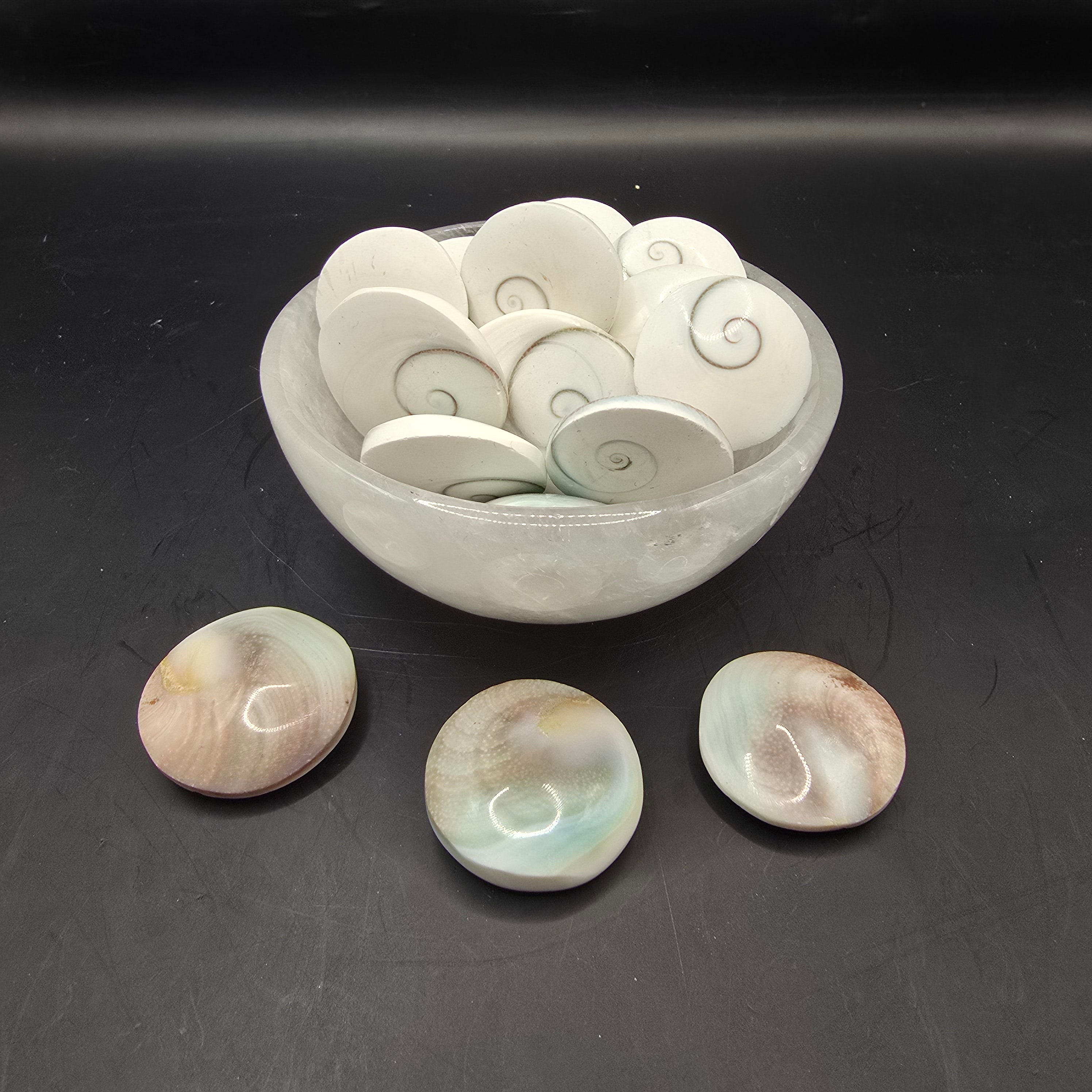 Shiva eye shell – Joshua Tree Vibes