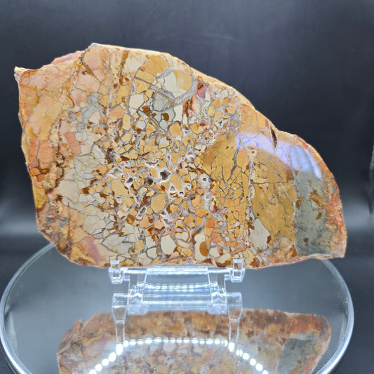 Ibis Jasper Slab Madagascar