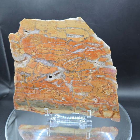 Ibis Jasper slab Madagascar