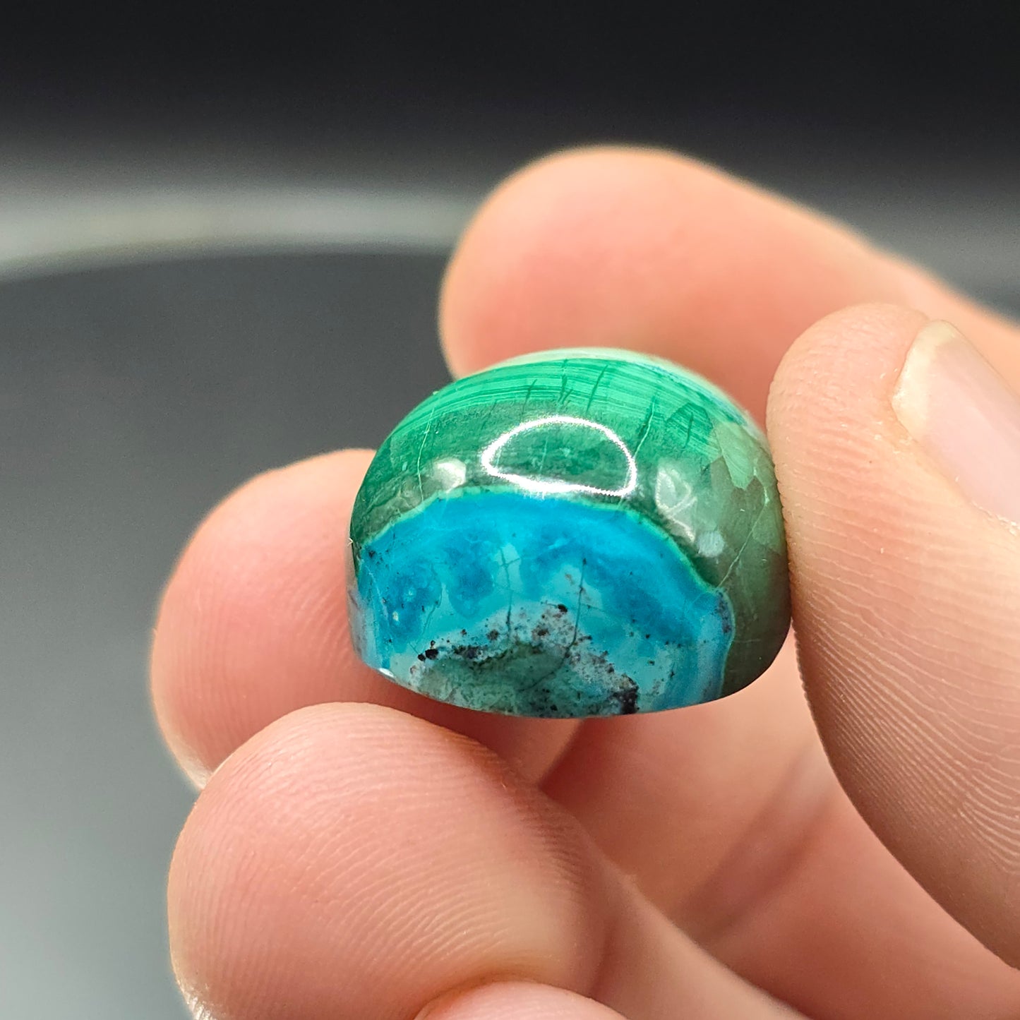 Malachite and chrysocolla Cabochon