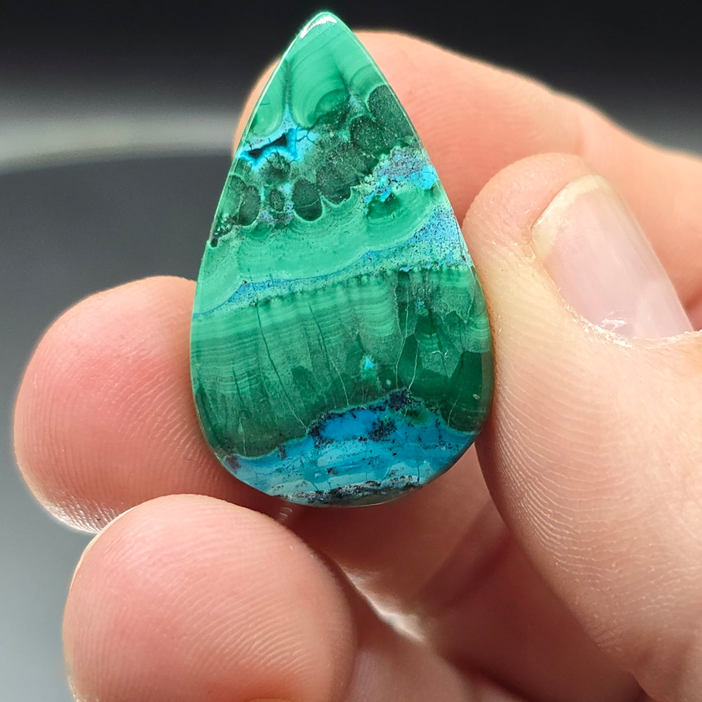 Malachite and chrysocolla Cabochon