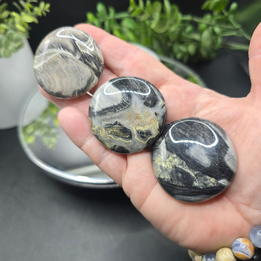 Silver leaf jasper coin
