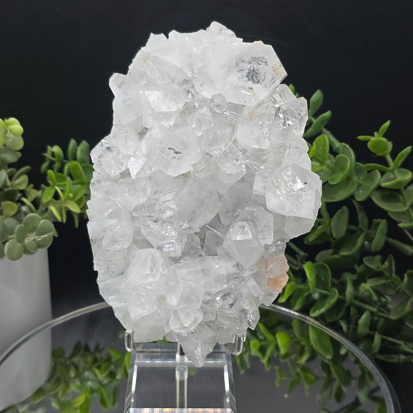 Apophyllite India